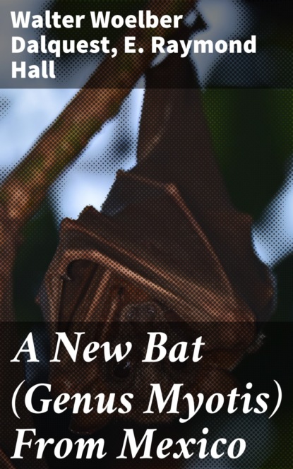 E. Raymond Hall - A New Bat (Genus Myotis) From Mexico