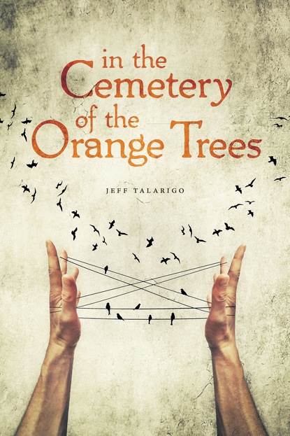 Jeff Talarigo - In the Cemetery of the Orange Trees