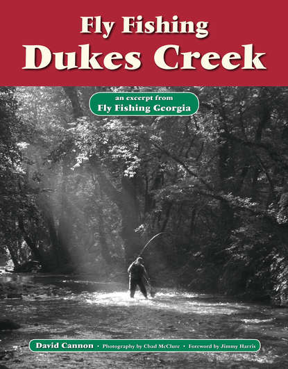 David Cannon L. - Fly Fishing Dukes Creek