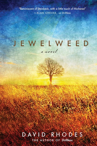 

Jewelweed