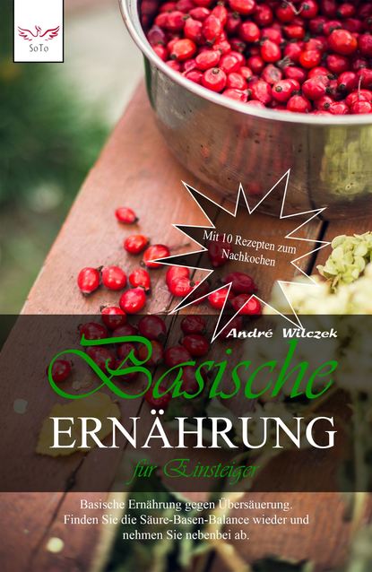 Basische Ernährung für Einsteiger (André Wilczek). 