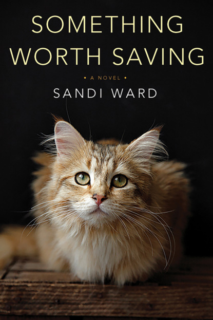 Sandi Ward - Something Worth Saving