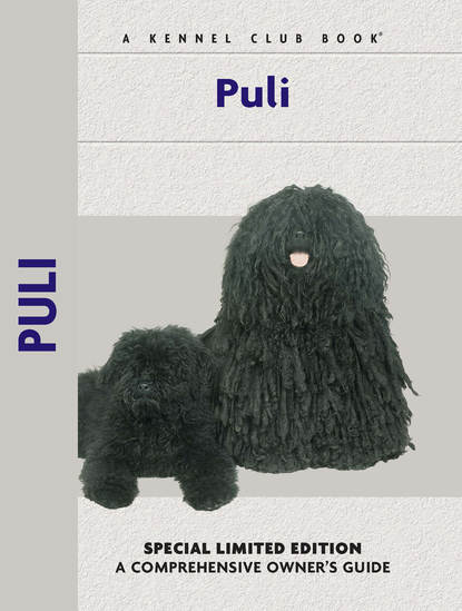 

Puli