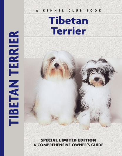 Juliette Cunliffe - Tibetan Terrier