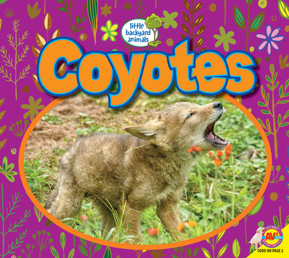 

Coyotes