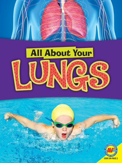 

Lungs