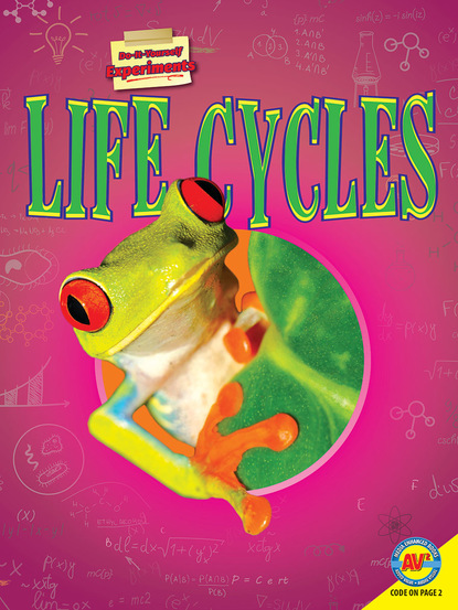 

Life Cycles