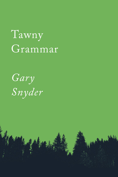 

Tawny Grammar