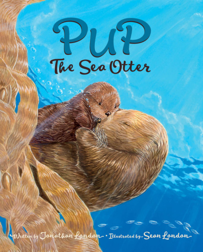 Jonathan London — Pup the Sea Otter