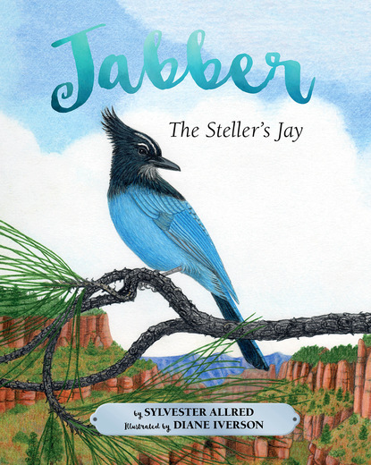 Sylvester Allred — Jabber the Steller's Jay