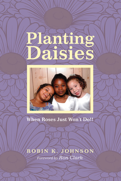 Robin K. Johnson - Planting Daisies