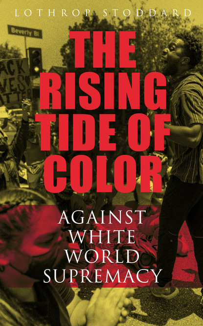 

The Rising Tide of Color Against White World-Supremacy