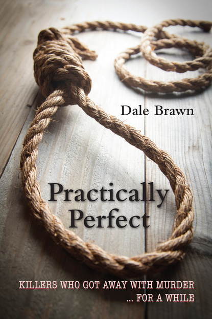 Dale Brawn - Practically Perfect