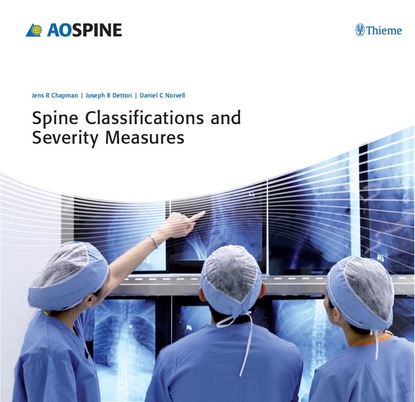 Jens R. Chapman - Spine Classifications and Severity Measures