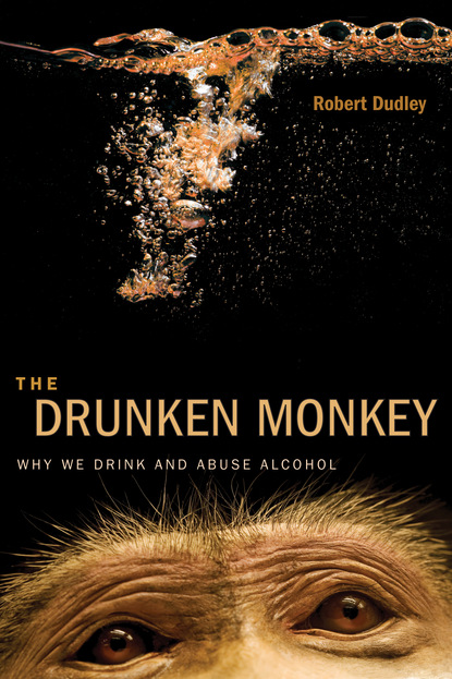 Robert Dudley - The Drunken Monkey