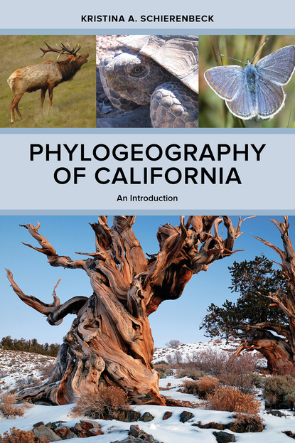 Kristina A. Schierenbeck - Phylogeography of California