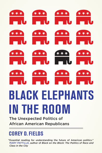 Corey D. Fields - Black Elephants in the Room