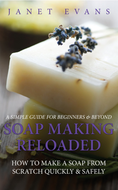 Janet Evans — Soap Making Reloaded: How To Make A Soap From Scratch Quickly & Safely: A Simple Guide For Beginners & Beyond