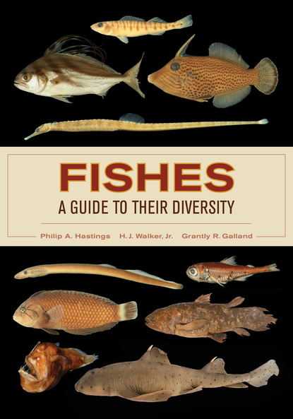 Philip A. Hastings - Fishes: A Guide to Their Diversity