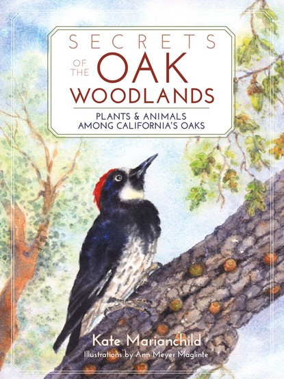 Kate Marianchild - Secrets of the Oak Woodlands