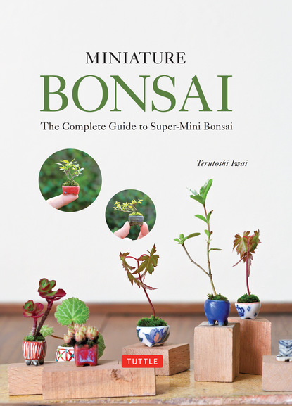 Terutoshi Iwai - Miniature Bonsai