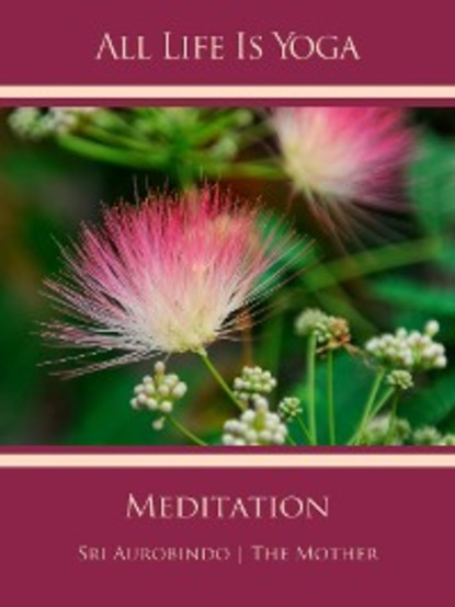 Sri Aurobindo - All Life Is Yoga: Meditation