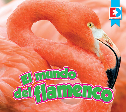 

El mundo del flamenco