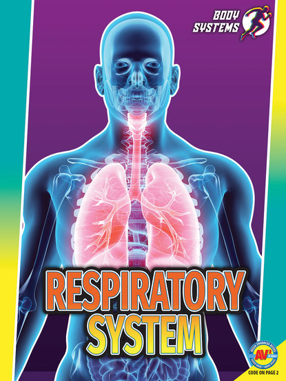 

Respiratory System