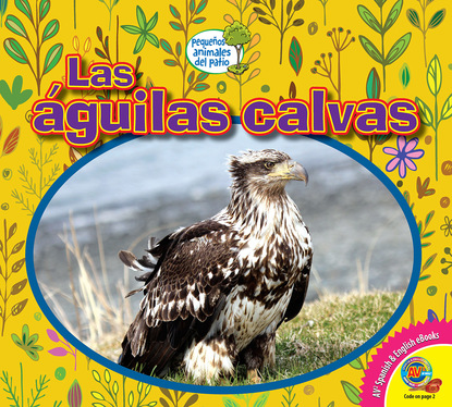 

Las águilas calvas