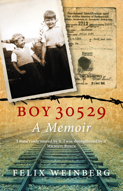 

Boy 30529