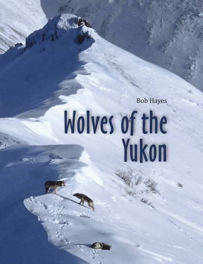 Bob Inc. Hayes - Wolves of the Yukon