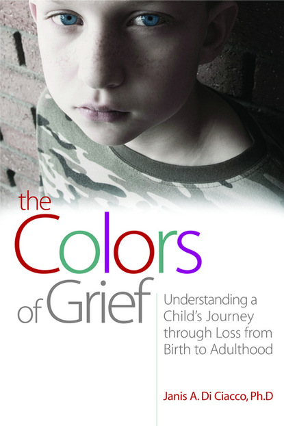 Janis Di Ciacco — The Colors of Grief