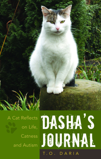 

Dasha's Journal