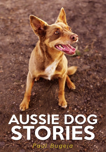 

Aussie Dog Stories