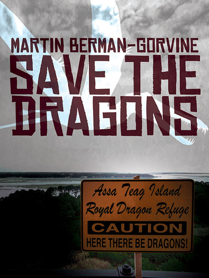 Martin Berman-Gorvine - Save the Dragons!