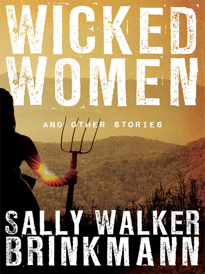 Sally Walker Brinkmann — Wicked Women and Other Stories