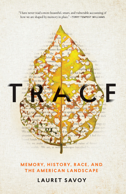 

Trace