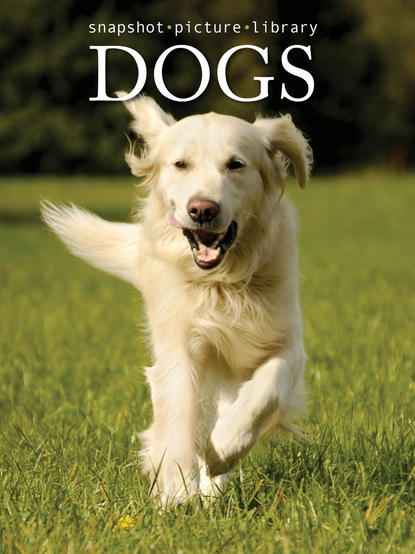

Dogs