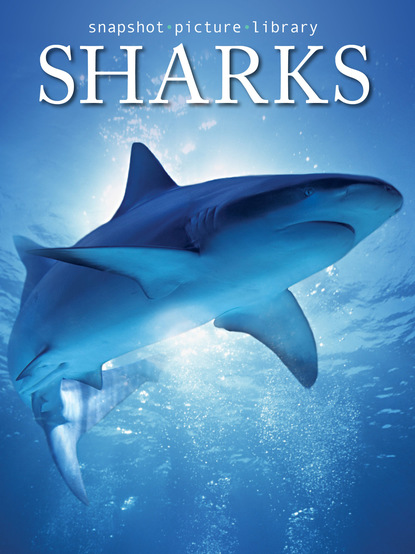 

Sharks