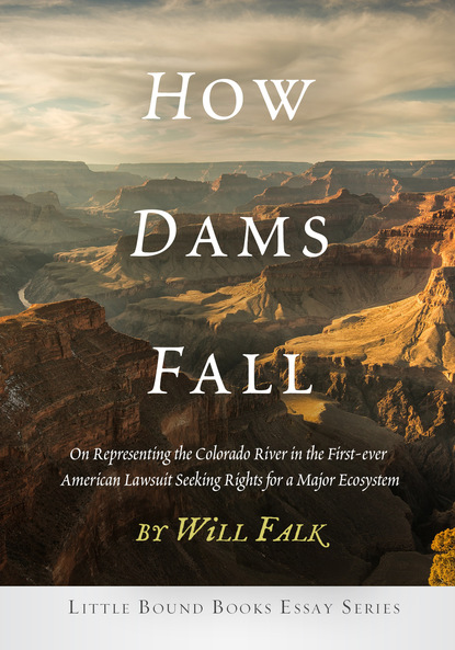 Will Falk — How Dams Fall