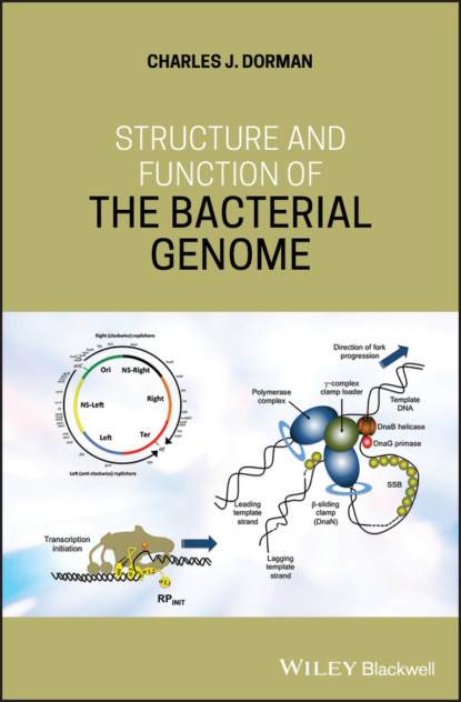Charles J. Dorman - Structure and Function of the Bacterial Genome