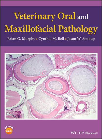Brian G. Murphy - Veterinary Oral and Maxillofacial Pathology
