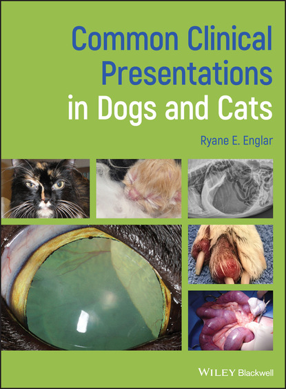 Ryane E. Englar - Common Clinical Presentations in Dogs and Cats