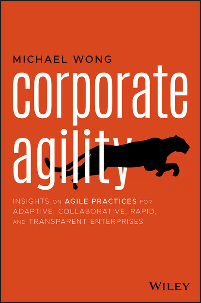 Michael Wong C.S. - Corporate Agility