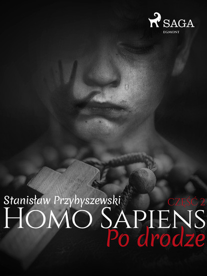 Stanisław Przybyszewski - Homo Sapiens 2: Po drodze