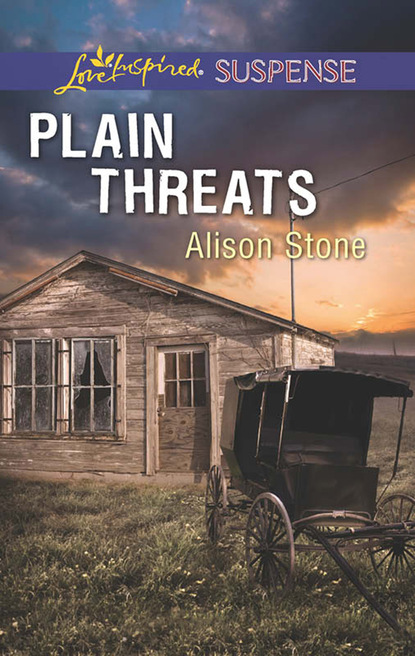 Alison  Stone - Plain Threats