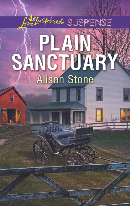 Alison  Stone - Plain Sanctuary
