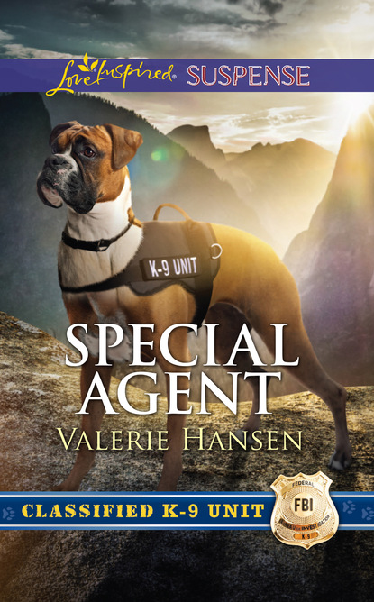 Valerie  Hansen - Special Agent