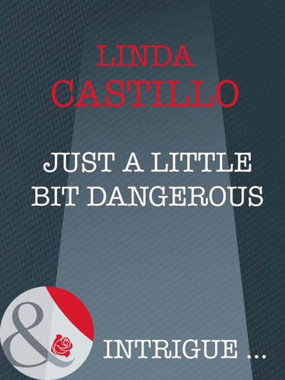 Linda  Castillo - Just A Little Bit Dangerous