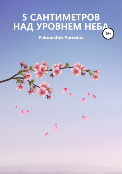 

5 Сантиметров над уровнем неба